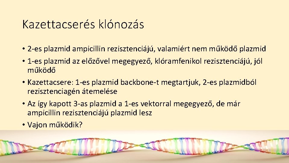 Kazettacserés klónozás • 2 -es plazmid ampicillin rezisztenciájú, valamiért nem működő plazmid • 1