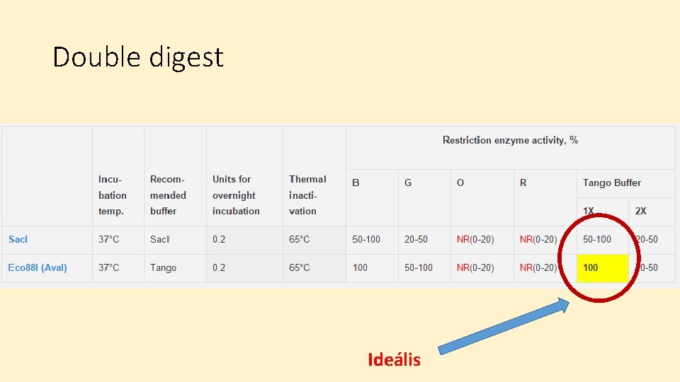 Double digest Ideális 