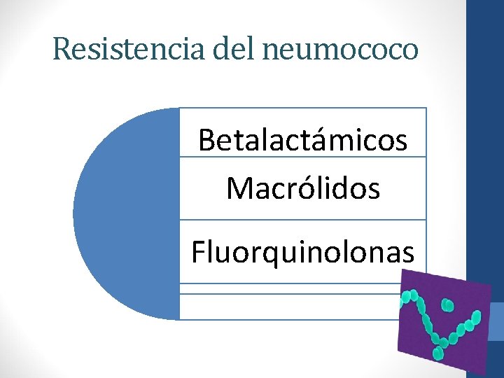 Resistencia del neumococo Betalactámicos Macrólidos Fluorquinolonas 