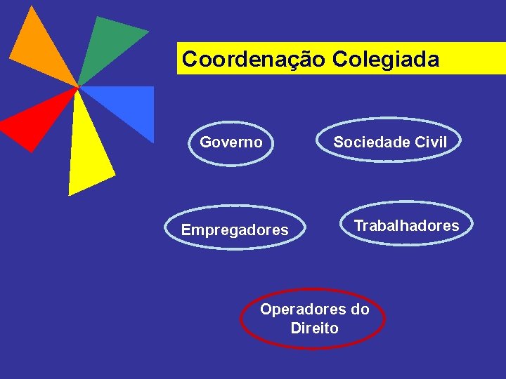 Coordenação Colegiada Governo Empregadores Sociedade Civil Trabalhadores Operadores do Direito 