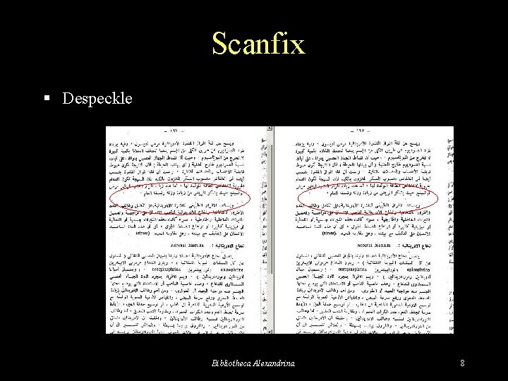 Scanfix § Despeckle Before Bibliotheca Alexandrina After 8 