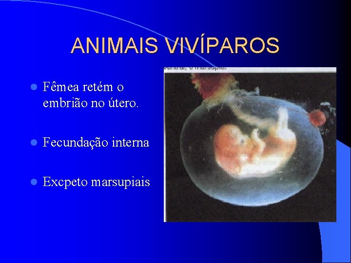 BIOLOGIA PROFESSOREDSON REPRODUO ANIMAL l a capacidade que