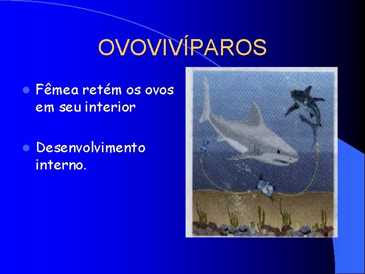 BIOLOGIA PROFESSOREDSON REPRODUO ANIMAL l a capacidade que