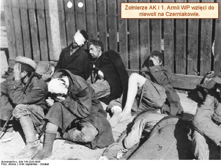 Żołnierze AK i 1. Armii WP wzięci do niewoli na Czerniakowie. 