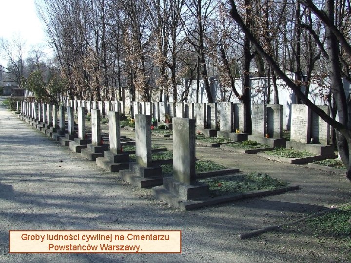 Groby ludności cywilnej na Cmentarzu Powstańców Warszawy. 