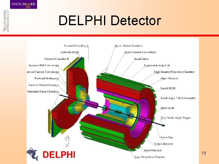 DELPHI Detector 19 