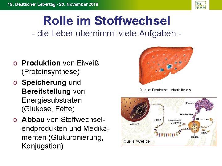 19. Deutscher Lebertag - 20. November 2018 Rolle im Stoffwechsel - die Leber übernimmt