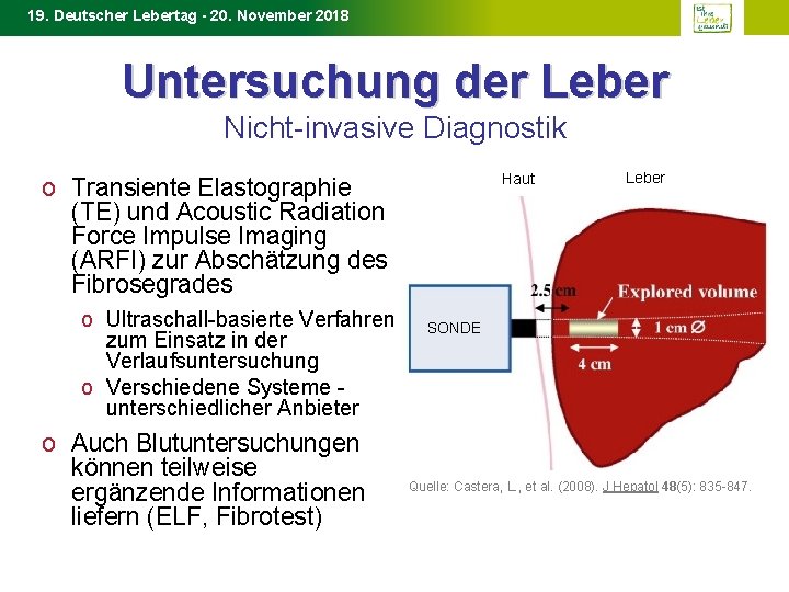 19. Deutscher Lebertag - 20. November 2018 Untersuchung der Leber Nicht-invasive Diagnostik Haut o