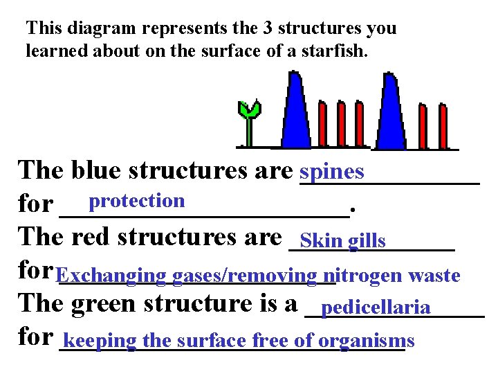 This diagram represents the 3 structures you learned about on the surface of a