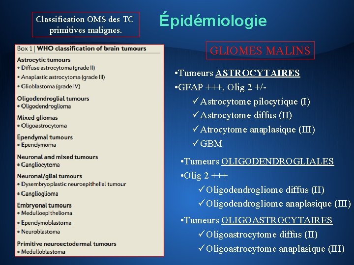 Classification OMS des TC primitives malignes. Épidémiologie GLIOMES MALINS • Tumeurs ASTROCYTAIRES • GFAP