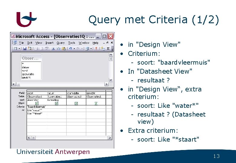 Query met Criteria (1/2) • in "Design View" • Criterium: - soort: "baardvleermuis" •