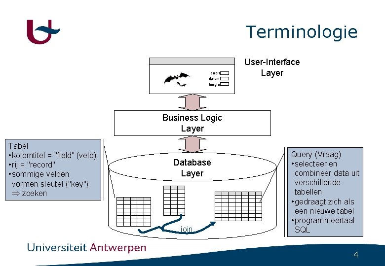 Terminologie soort datum lengte User-Interface Layer Business Logic Layer Tabel • kolomtitel = "field"