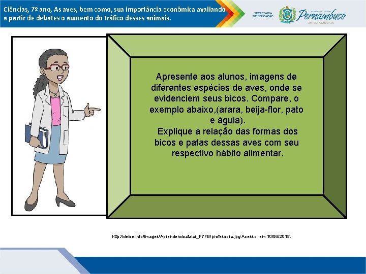 Ciências, 7º ano, As aves, bem como, sua importância econômica avaliando a partir de