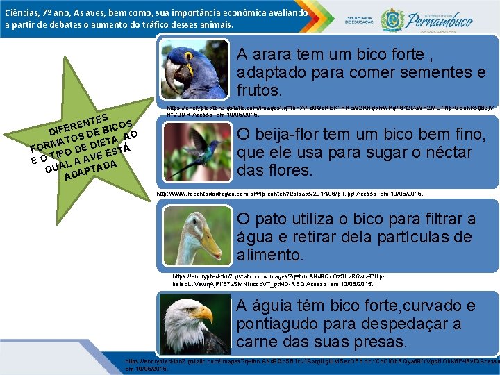 Ciências, 7º ano, As aves, bem como, sua importância econômica avaliando a partir de