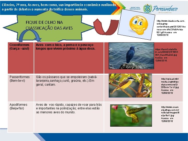 Ciências, 7º ano, As aves, bem como, sua importância econômica avaliando a partir de