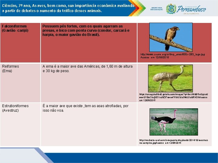 Ciências, 7º ano, As aves, bem como, sua importância econômica avaliando a partir de