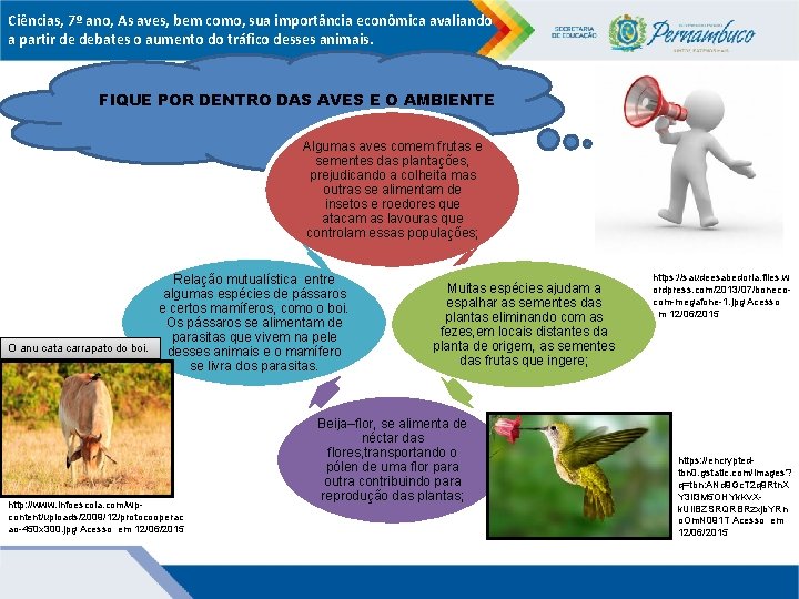 Ciências, 7º ano, As aves, bem como, sua importância econômica avaliando a partir de