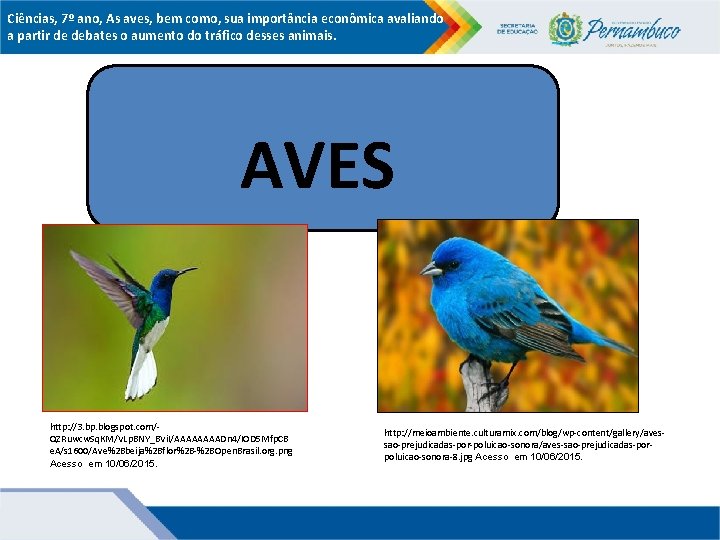 Ciências, 7º ano, As aves, bem como, sua importância econômica avaliando a partir de