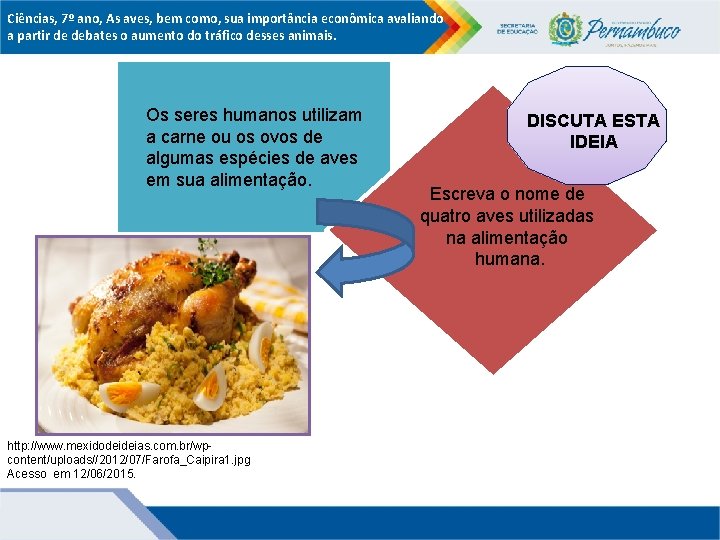 Ciências, 7º ano, As aves, bem como, sua importância econômica avaliando a partir de