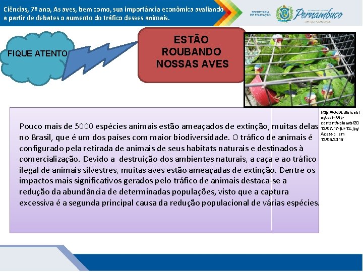 Ciências, 7º ano, As aves, bem como, sua importância econômica avaliando a partir de