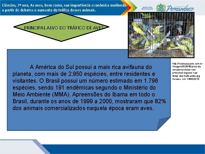 Ciências, 7º ano, As aves, bem como, sua importância econômica avaliando a partir de