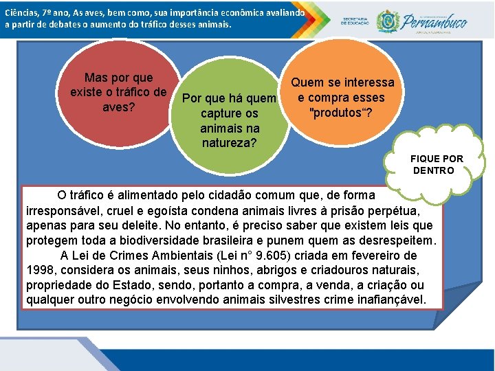 Ciências, 7º ano, As aves, bem como, sua importância econômica avaliando a partir de