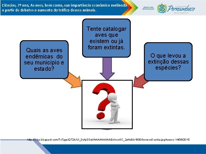 Ciências, 7º ano, As aves, bem como, sua importância econômica avaliando a partir de