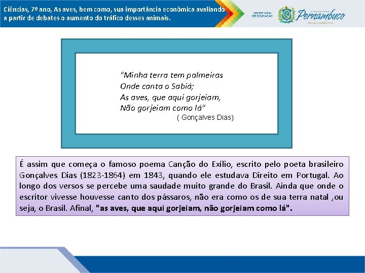 Ciências, 7º ano, As aves, bem como, sua importância econômica avaliando a partir de