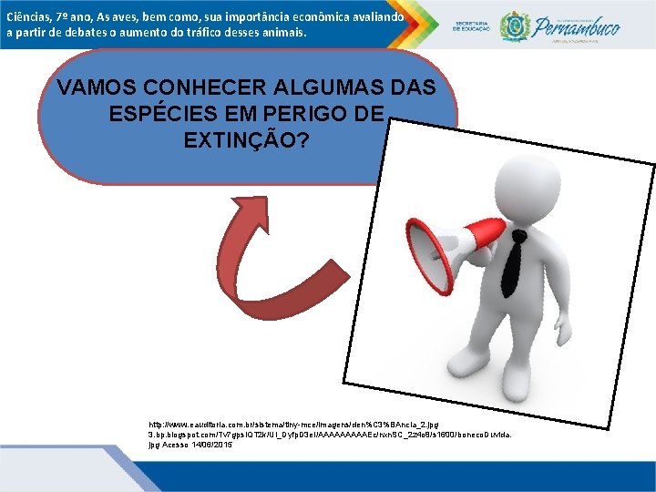 Ciências, 7º ano, As aves, bem como, sua importância econômica avaliando a partir de