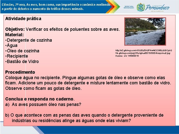 Ciências, 7º ano, As aves, bem como, sua importância econômica avaliando a partir de