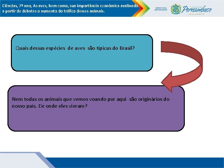 Ciências, 7º ano, As aves, bem como, sua importância econômica avaliando a partir de