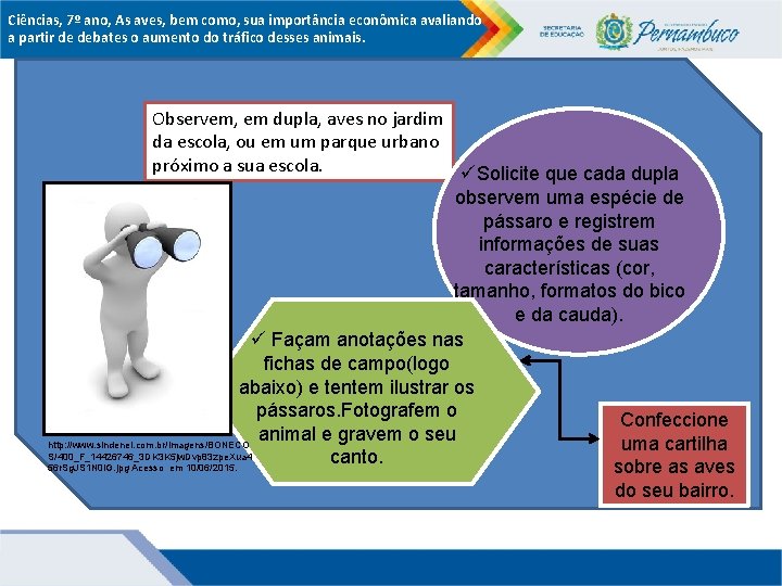 Ciências, 7º ano, As aves, bem como, sua importância econômica avaliando a partir de