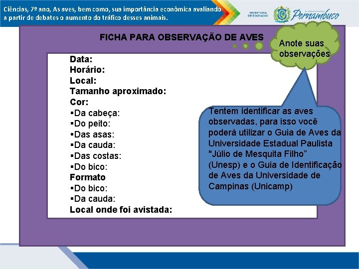 Ciências, 7º ano, As aves, bem como, sua importância econômica avaliando a partir de