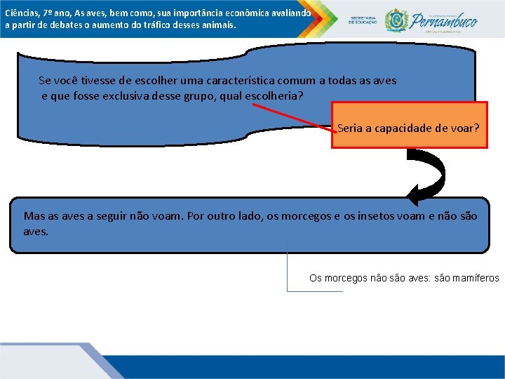 Ciências, 7º ano, As aves, bem como, sua importância econômica avaliando a partir de