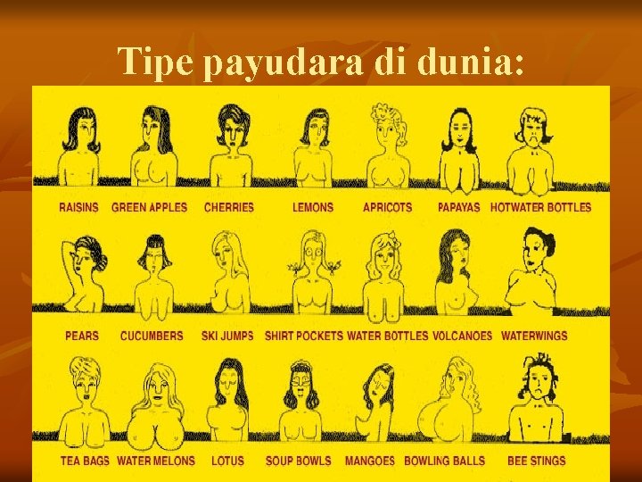 Tipe payudara di dunia: 