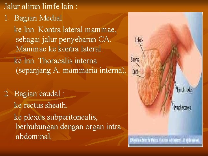 Jalur aliran limfe lain : 1. Bagian Medial ke lnn. Kontra lateral mammae, sebagai