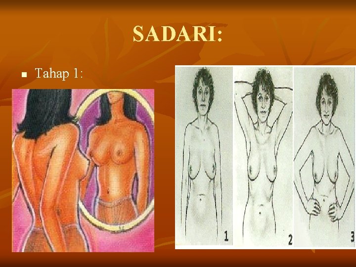 SADARI: n Tahap 1: 