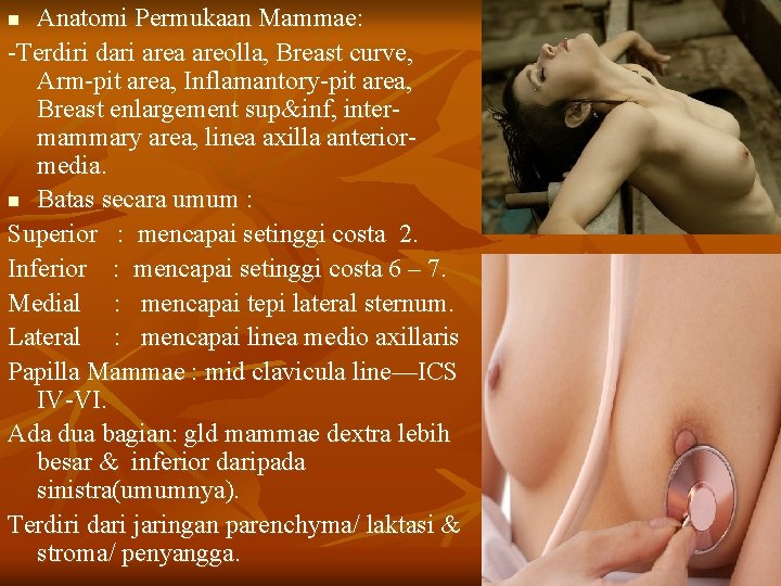 Anatomi Permukaan Mammae: -Terdiri dari area areolla, Breast curve, Arm-pit area, Inflamantory-pit area, Breast