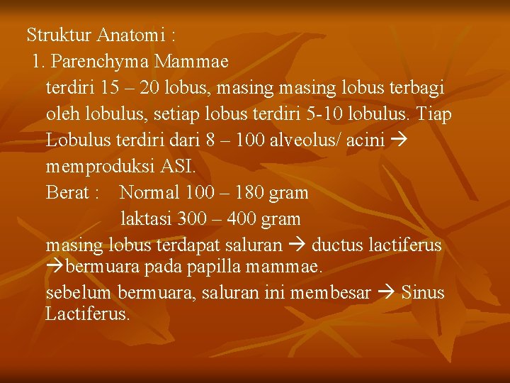 Struktur Anatomi : 1. Parenchyma Mammae terdiri 15 – 20 lobus, masing lobus terbagi