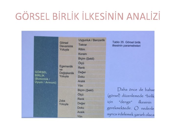 GÖRSEL BİRLİK İLKESİNİN ANALİZİ 