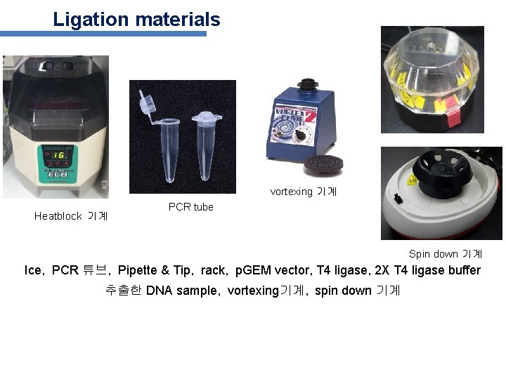 Ligation materials vortexing 기계 Heatblock 기계 PCR tube Spin down 기계 Ice, PCR 튜브,