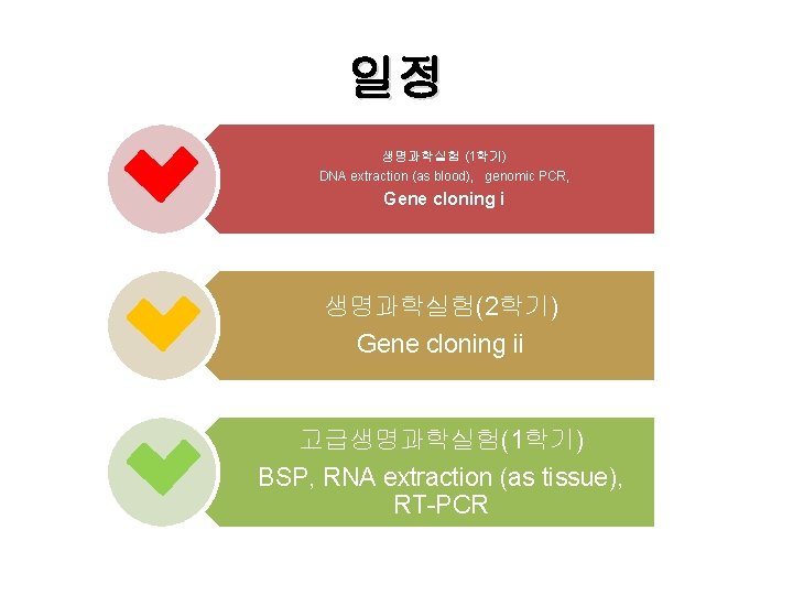 일정 생명과학실험 (1학기) DNA extraction (as blood), genomic PCR, Gene cloning i 생명과학실험(2학기) Gene