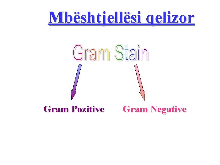 Mbështjellësi qelizor Gram Pozitive Gram Negative 