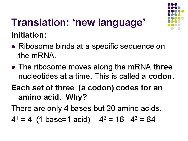 Translation: ‘new language’ Initiation: l Ribosome binds at a specific sequence on the m.