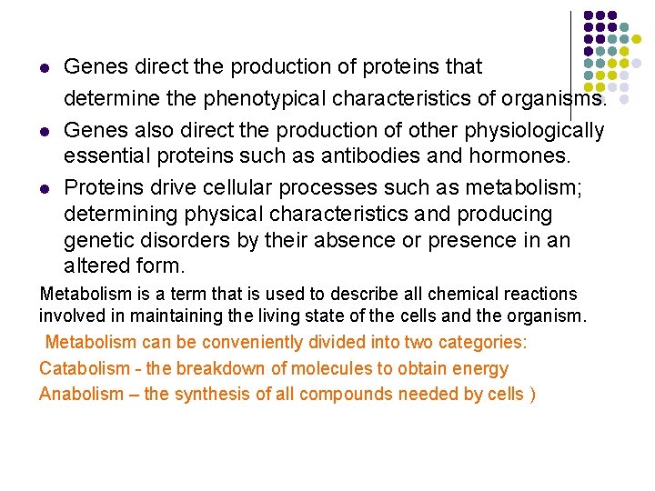 l l l Genes direct the production of proteins that determine the phenotypical characteristics