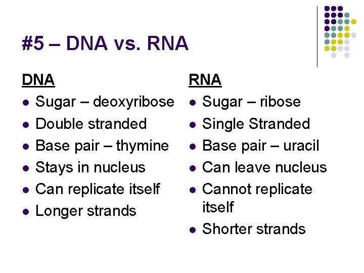 #5 – DNA vs. RNA DNA RNA l Sugar – deoxyribose l Sugar –