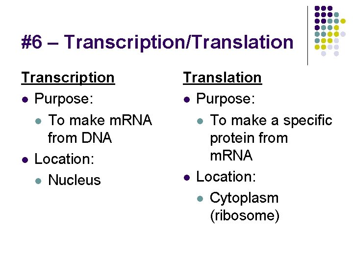 #6 – Transcription/Translation Transcription l Purpose: l To make m. RNA from DNA l