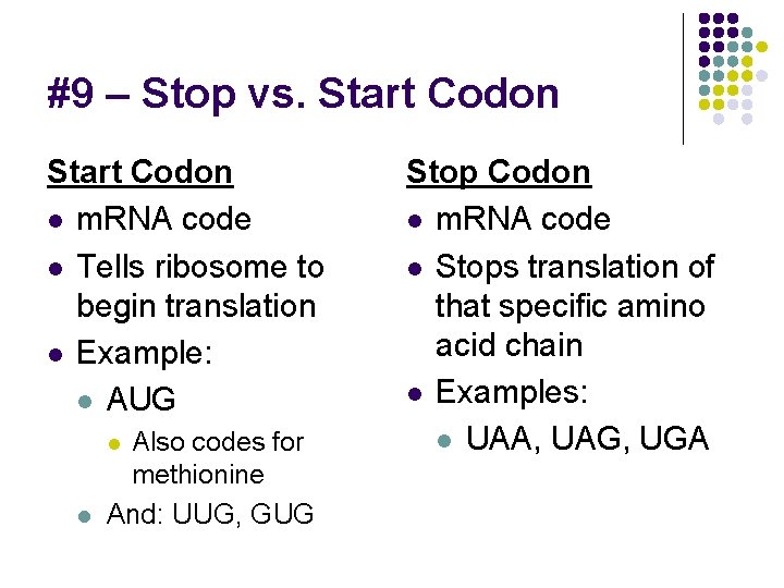 #9 – Stop vs. Start Codon l m. RNA code l Tells ribosome to