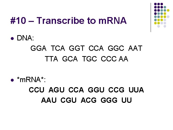 #10 – Transcribe to m. RNA l DNA: GGA TCA GGT CCA GGC AAT