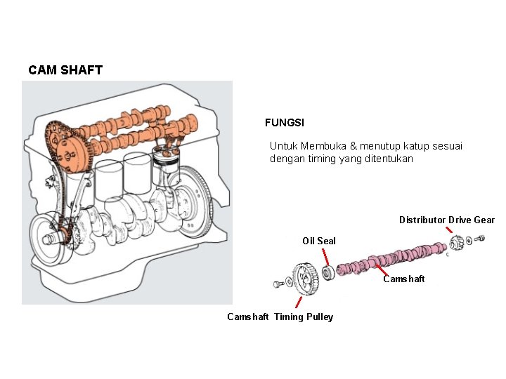 CAM SHAFT FUNGSI Untuk Membuka & menutup katup sesuai dengan timing yang ditentukan Distributor